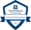 top developers icon